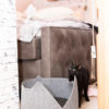 Katzenbett aus Filz mit Ohren